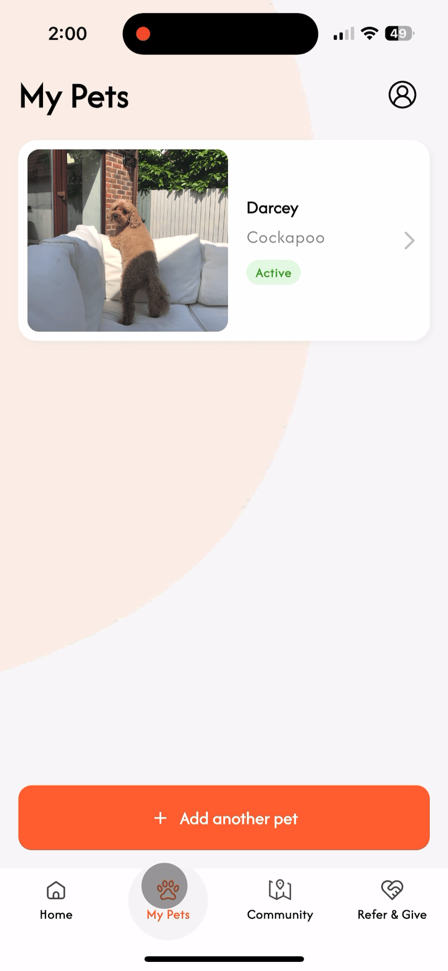 Click into pet.gif