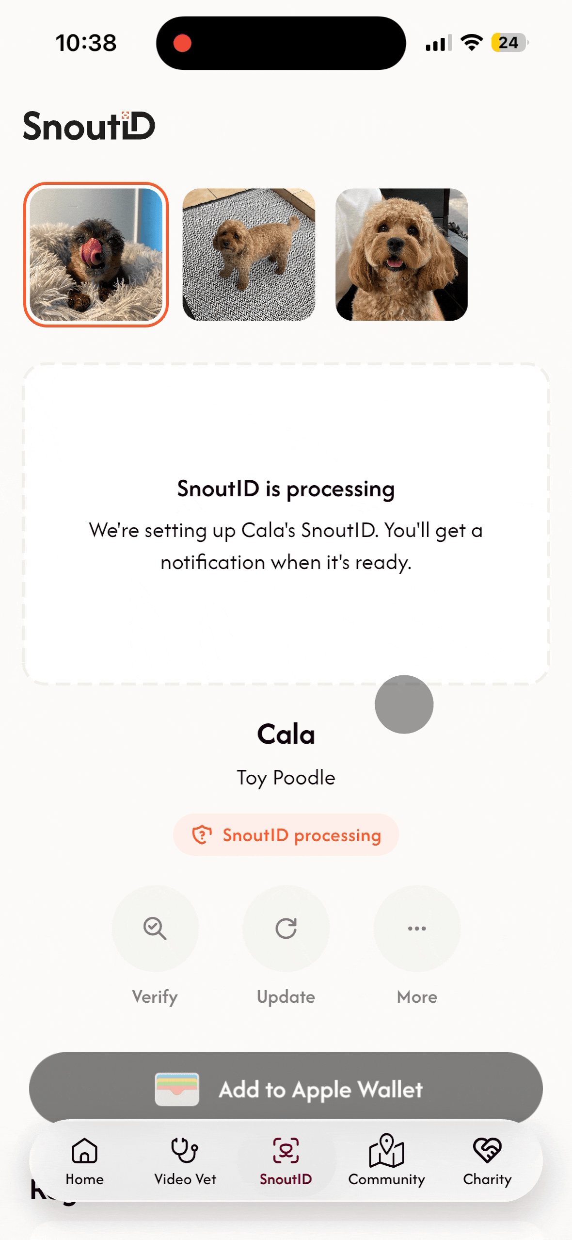 Select Pet and ClickGet Started.gif