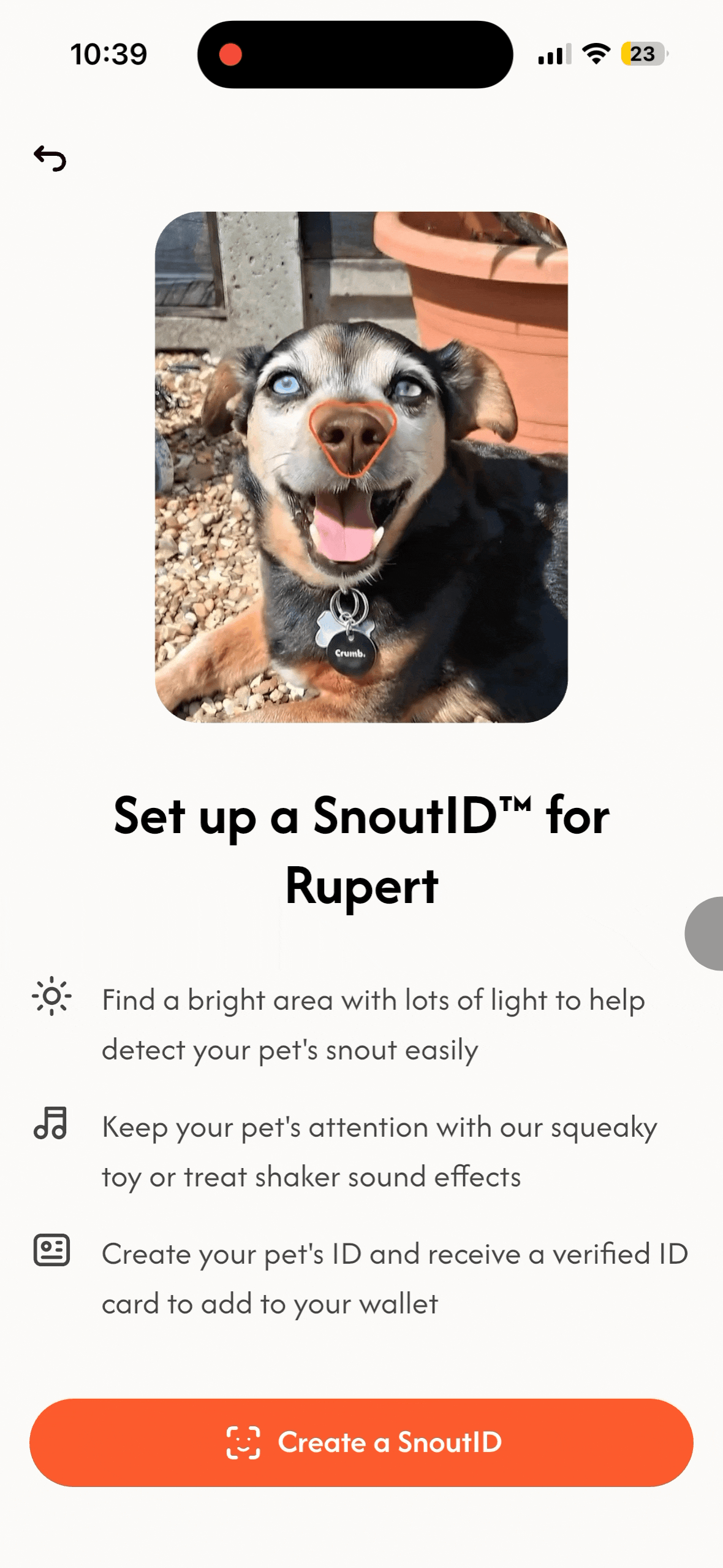 Actuallly Click Get Started.gif