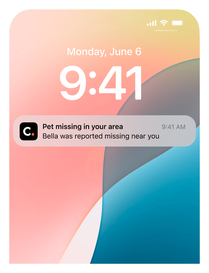 missing-notification-en.png