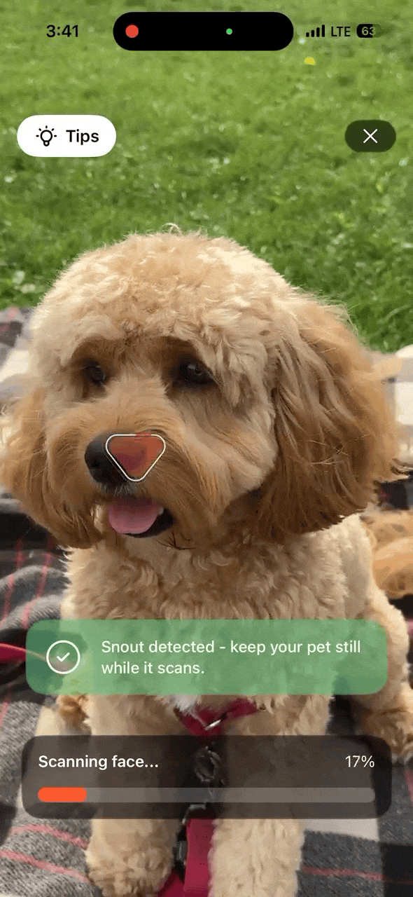 Gili T.gif