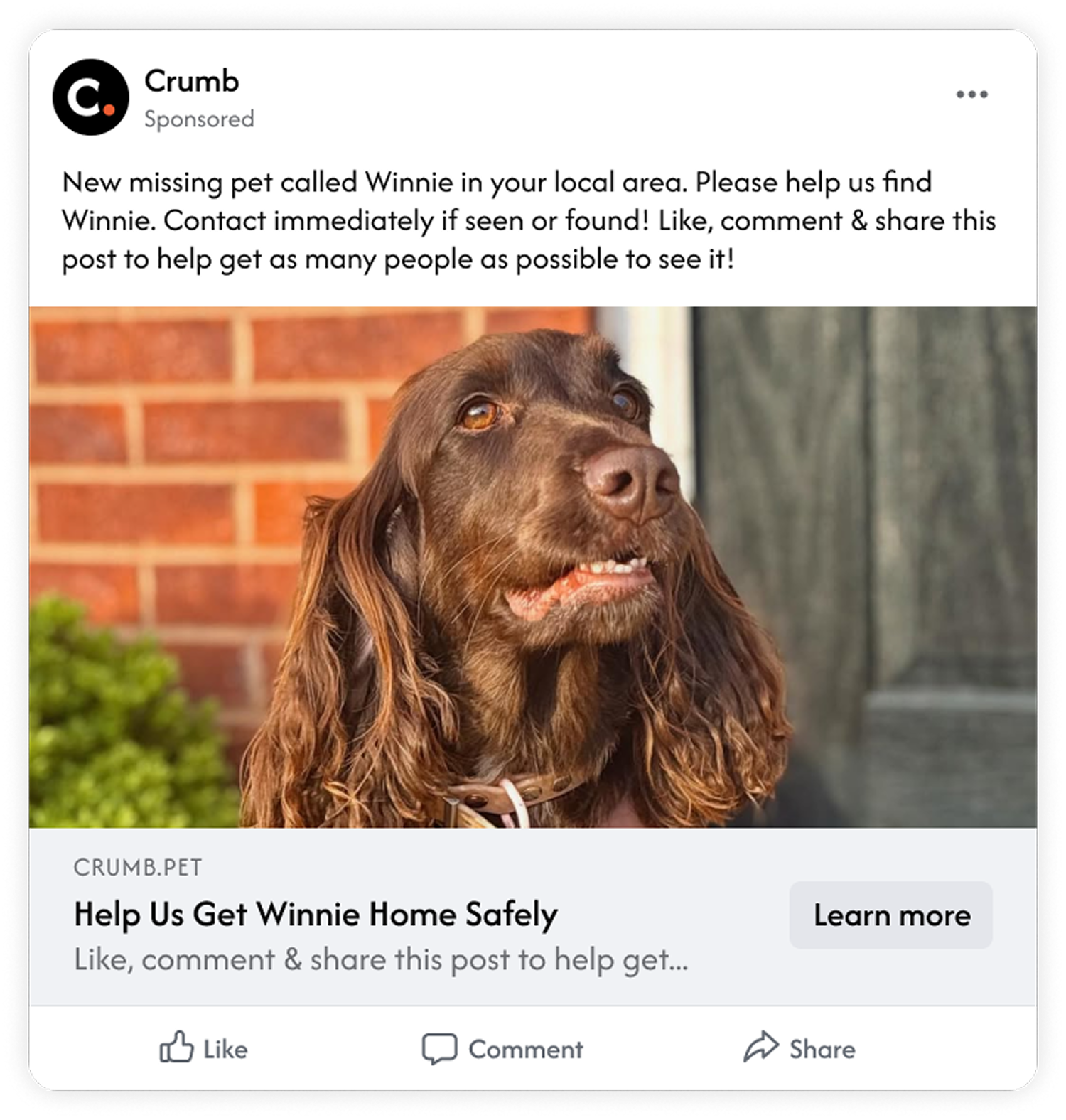 social-sos-facebook-ad-en.png