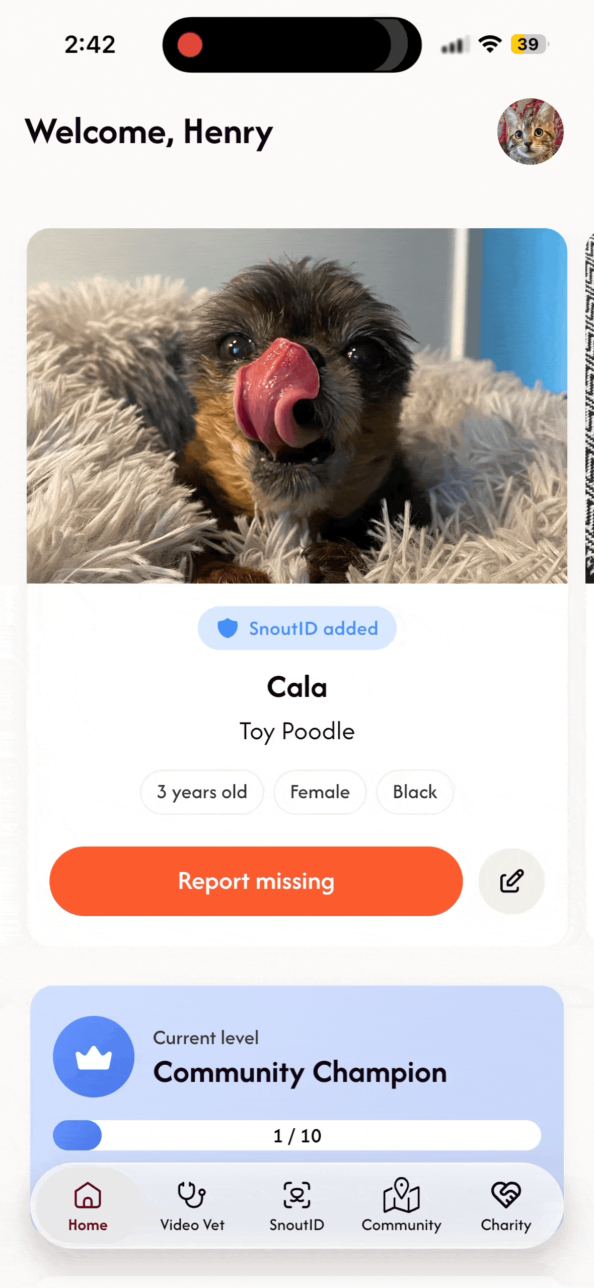 go to pet and click on it.gif