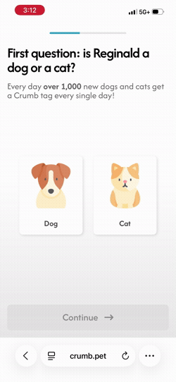 Setup_02_anim_01_v001+00-00-00.000-00-00-02.320.gif