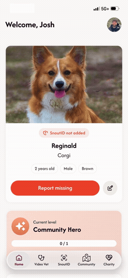 Owner_Info_p1_v001+00-00-00.000-00-00-04.583.gif