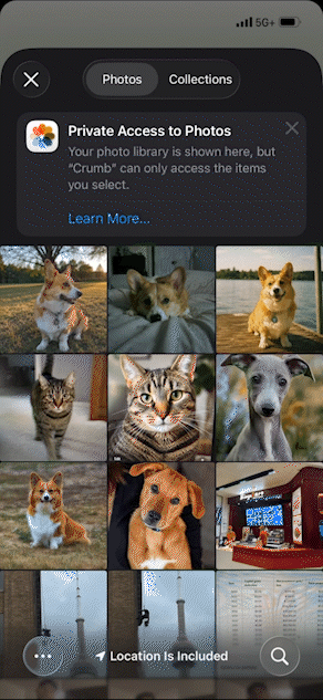photochange_03_anim.gif