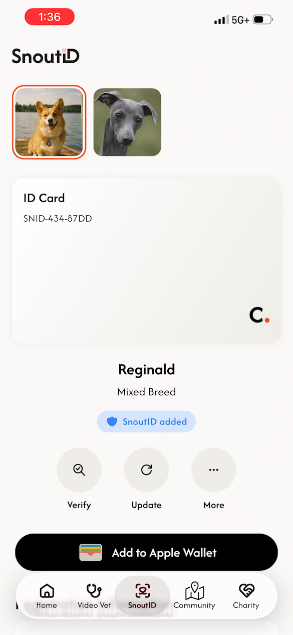 select_pet_.gif