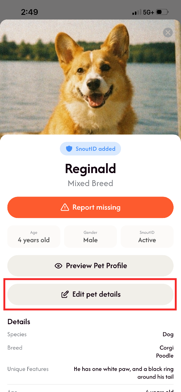 preview_pet_profile_01.png