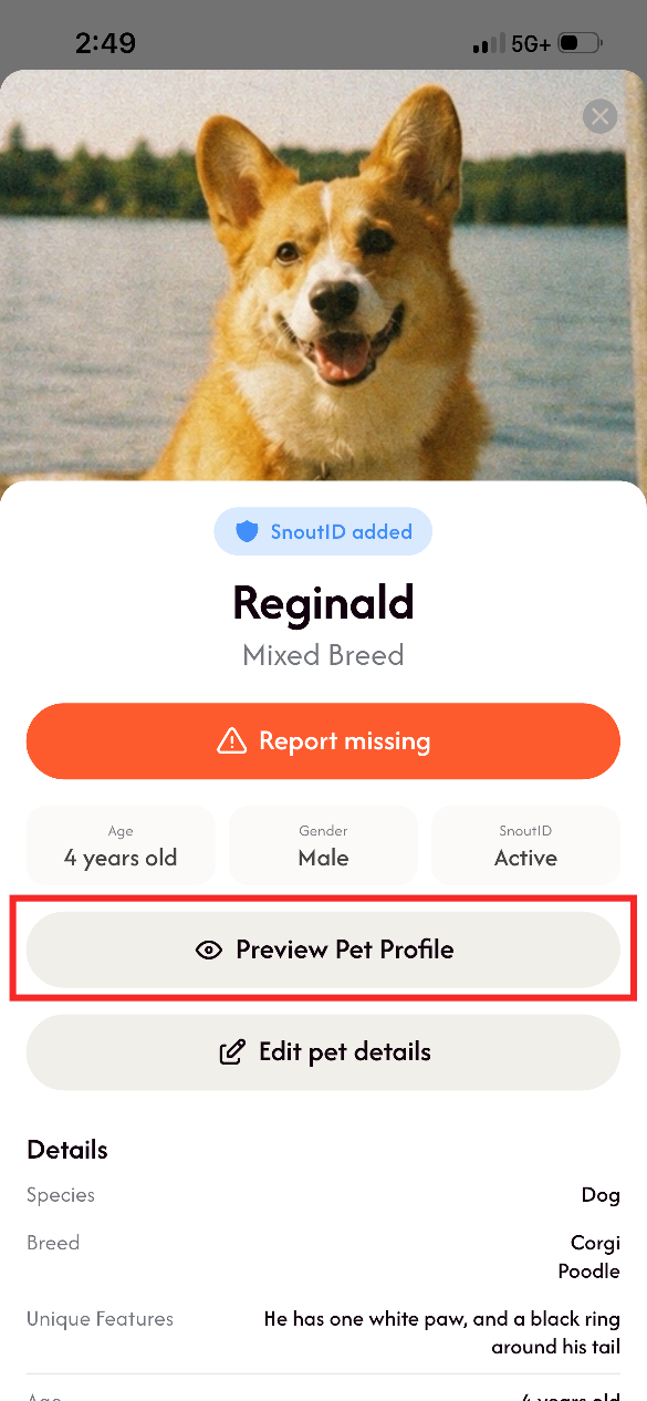 pet_profile.png