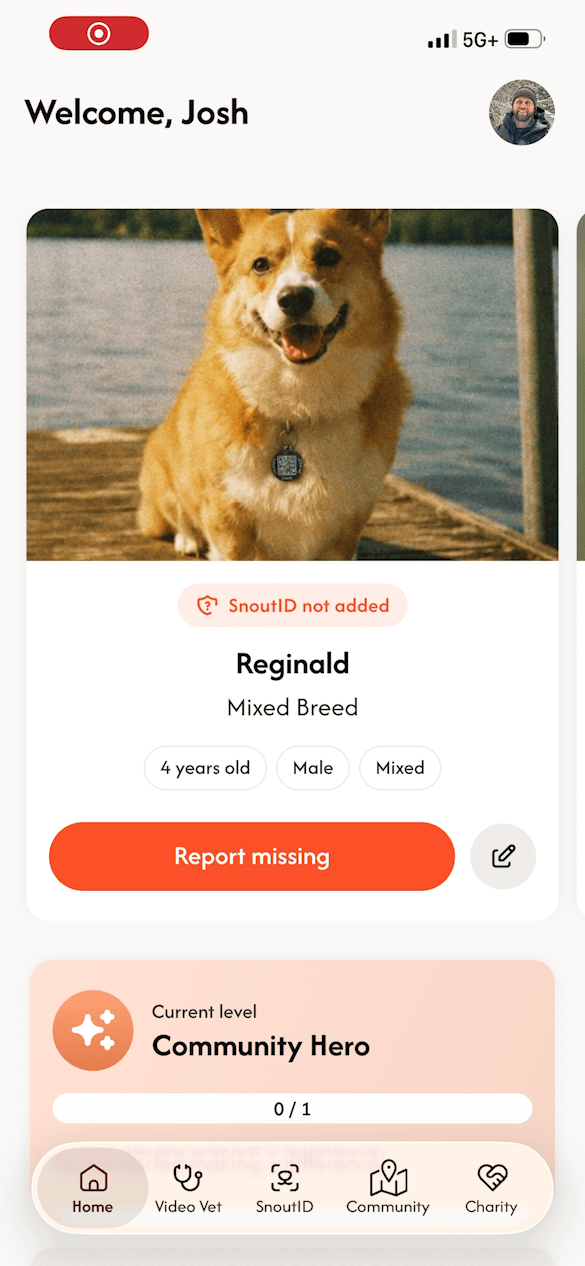 pet_profile_boomerang.gif